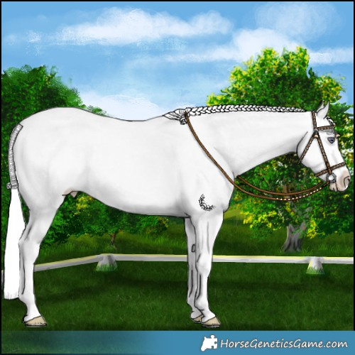 Horse Color:Silver Smoky Creme Chinchilla Dun Splash 