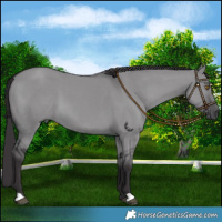 Horse Color:Smoky Grullo Chinchilla 