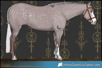 Horse Color:Chocolate Silver Smoky Grullo Chinchilla Sabino