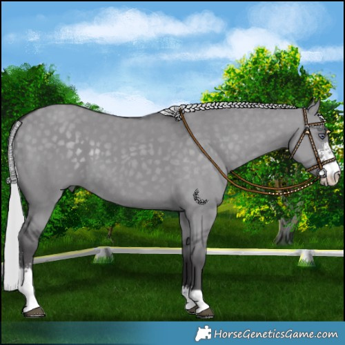 Horse Color:Silver Smoky Grullo Chinchilla Sabino 