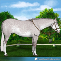 Horse Color:White Spotted Chocolate Silver Smoky Grullo Chinchilla 