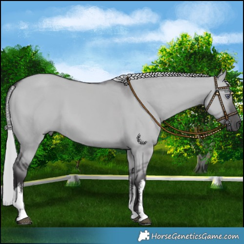 Horse Color:White Spotted Silver Smoky Grullo Chinchilla 
