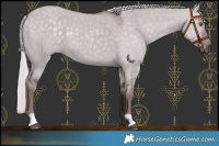 Horse Color:Chocolate Silver Smoky Grullo Chinchilla 