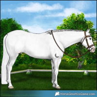 Horse Color:Chocolate Silver Smoky Creme Chinchilla Dun Blanket
