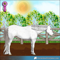 Horse Color:Liver Red Dun Sabino 