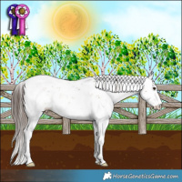 Horse Color:Liver Red Dun Sabino 