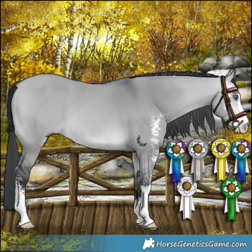 Horse Color:Bay Chinchilla Dun Sabino