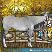 Horse Color:Bay Chinchilla Dun Sabino 