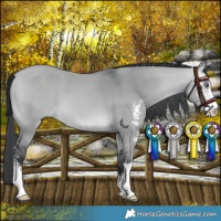 Horse Color:Bay Chinchilla Dun Sabino 