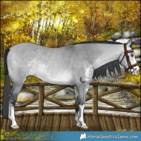 Horse Color:Bay Chinchilla Dun Sabino