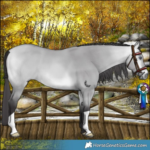 Horse Color:Buckskin Chinchilla Dun 
