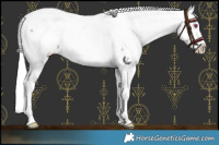 Horse Color:Silver Grullo Chinchilla Near Fewspot 