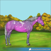 Horse Color:Watercolor White Spotted Silver Bay Rabicano 