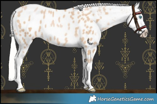 Horse Color:Chocolate Silver Buckskin Pearl Blanket 