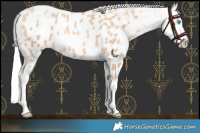 Horse Color:Chocolate Silver Buckskin Pearl Blanket 