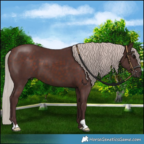 Horse Color:Chocolate Silver Brown 