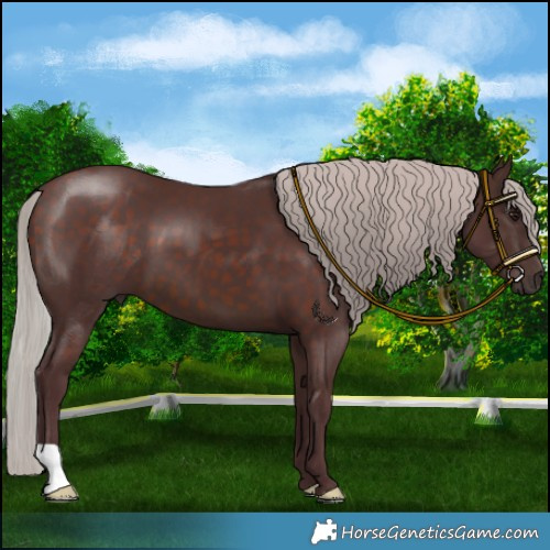 Horse Color:Chocolate Silver Brown 