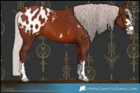 Horse Color:Chocolate Silver Brown Blanket 