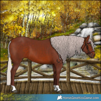 Horse Color:Chocolate Silver Brown 