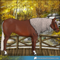 Horse Color:Chocolate Silver Brown 