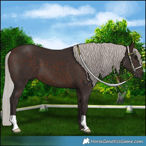 Horse Color:Silver Brown 