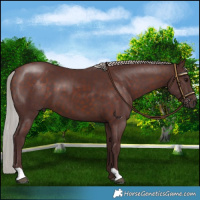 Horse Color:Chocolate Silver Brown 