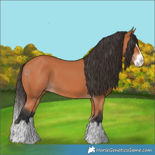 Horse Color:Bay Splash 