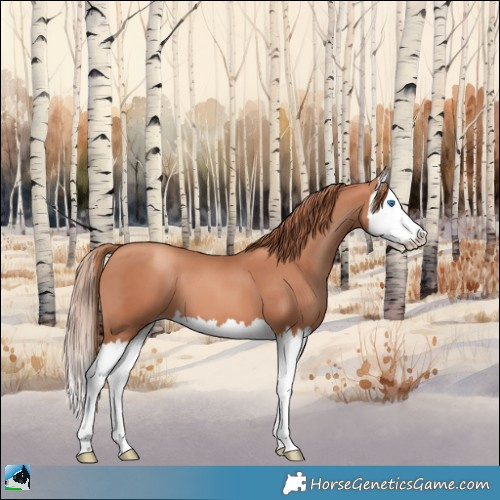 Horse Color:Gold Champagne Splash