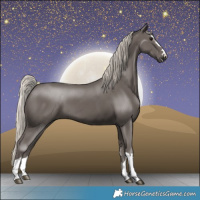 Horse Color:Silver Black 