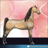 Horse Color:Buckskin Dun 