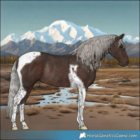 Horse Color:Silver Brown Tobiano Rabicano