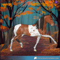 Horse Color:Bay Tobiano Rabicano