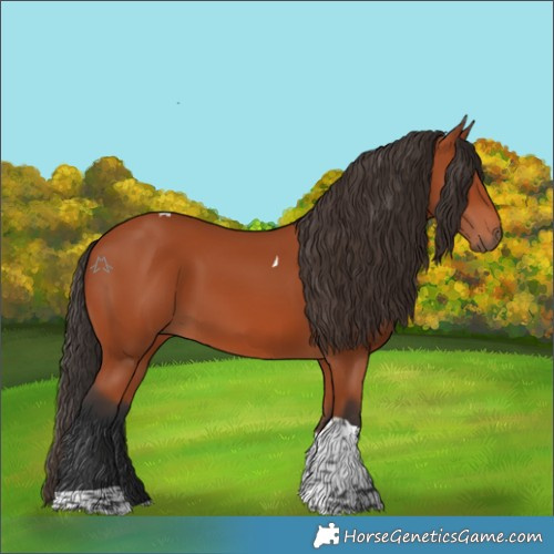 Horse Color:Bay Tobiano Rabicano 