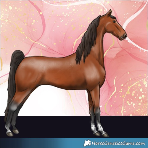 Horse Color:Bay Tobiano Rabicano 