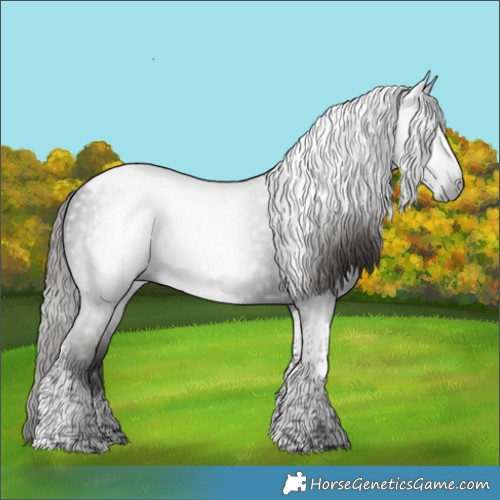 Horse Color:Gray Liver Chestnut Tobiano 