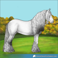 Horse Color:Gray Liver Chestnut Tobiano