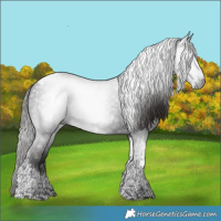 Horse Color:Gray Liver Chestnut Tobiano 