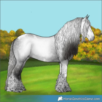 Horse Color:Gray Liver Chestnut Tobiano 