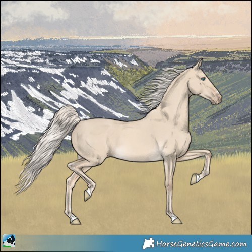 Horse Color:Cremello Dun 