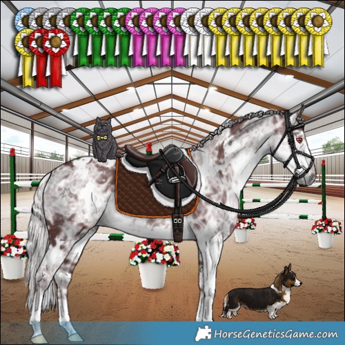 Horse Color:White Spotted Chocolate Silver Smoky Black Chinchilla Ice 