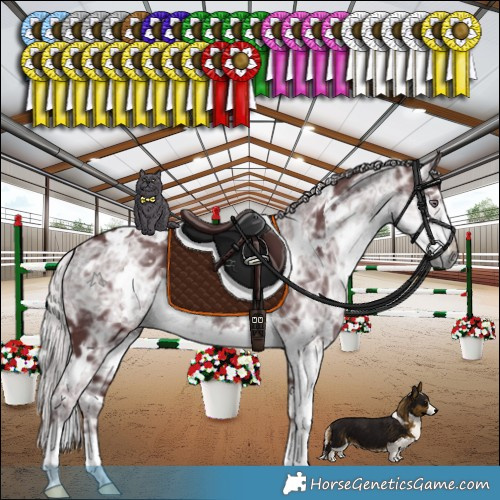 Horse Color:White Spotted Chocolate Silver Smoky Black Chinchilla Ice 