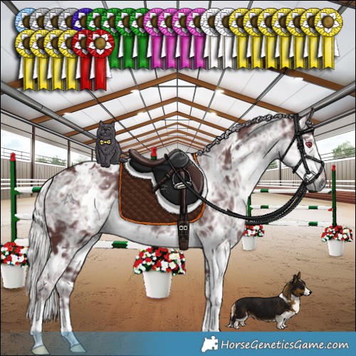 Horse Color:White Spotted Chocolate Silver Smoky Black Chinchilla Ice 