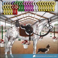 Horse Color:White Spotted Chocolate Silver Smoky Black Chinchilla Ice 