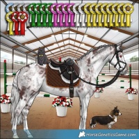 Horse Color:White Spotted Chocolate Silver Smoky Black Chinchilla Ice