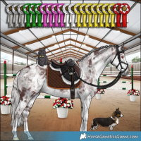 Horse Color:White Spotted Chocolate Silver Smoky Black Chinchilla Ice