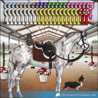 Horse Color:White Spotted Chocolate Silver Smoky Black Chinchilla Ice 