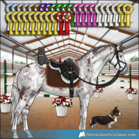 Horse Color:White Spotted Chocolate Silver Smoky Black Chinchilla Ice 