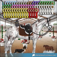 Horse Color:White Spotted Chocolate Silver Smoky Black Chinchilla Ice 