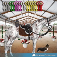 Horse Color:White Spotted Chocolate Silver Smoky Black Chinchilla Ice