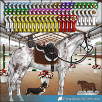 Horse Color:White Spotted Chocolate Silver Smoky Black Chinchilla Ice 